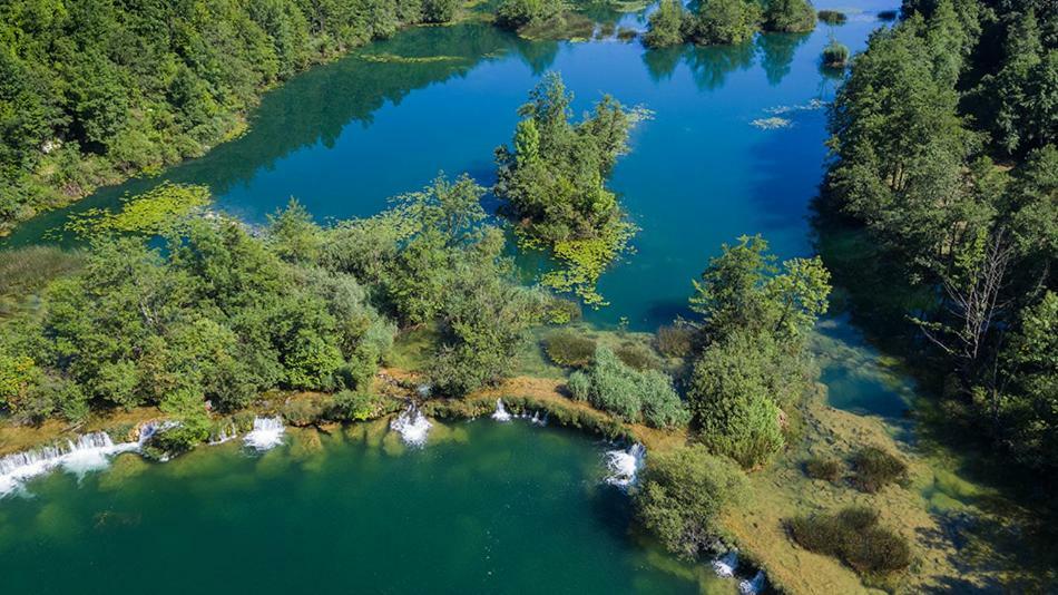 Kuca Za Odmor Zeleni Biser Villa Generalski Stol Exteriör bild